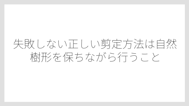 失敗しない正しい剪定方法は自然樹形を保ちながら行うこと