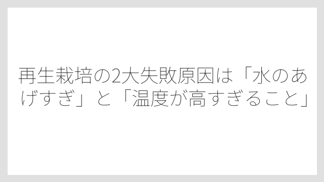 再生栽培の2大失敗原因は「水のあげすぎ」と「温度が高すぎること」