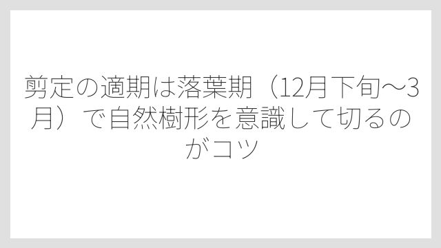 剪定の適期は落葉期（12月下旬〜3月）で自然樹形を意識して切るのがコツ
