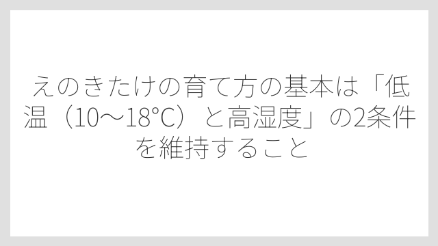えのきたけの育て方の基本は「低温（10〜18℃）と高湿度」の2条件を維持すること