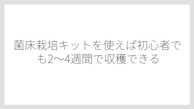 菌床栽培キットを使えば初心者でも2〜4週間で収穫できる