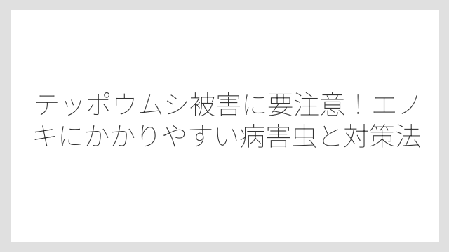 テッポウムシ被害に要注意！エノキにかかりやすい病害虫と対策法