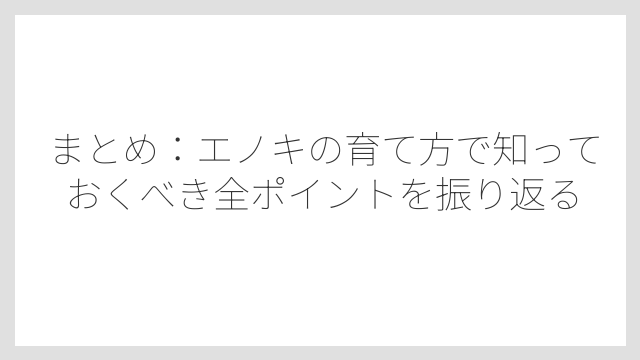 まとめ：エノキの育て方で知っておくべき全ポイントを振り返る