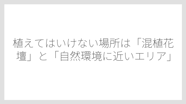 植えてはいけない場所は「混植花壇」と「自然環境に近いエリア」
