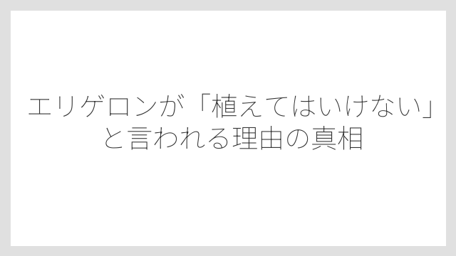 エリゲロンが「植えてはいけない」と言われる理由の真相