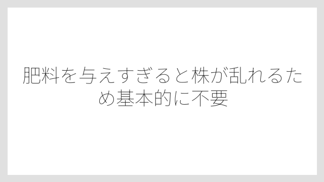 肥料を与えすぎると株が乱れるため基本的に不要
