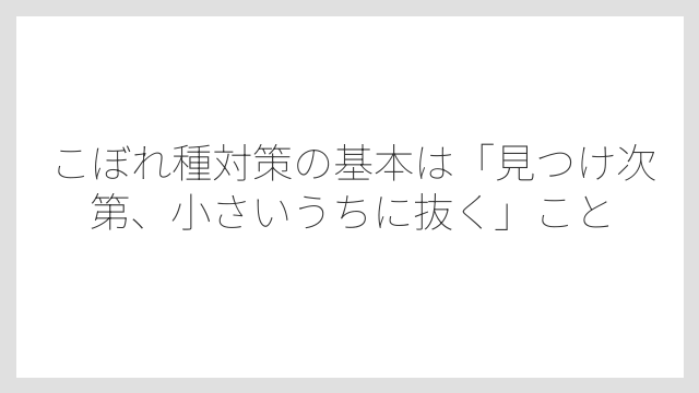 こぼれ種対策の基本は「見つけ次第、小さいうちに抜く」こと