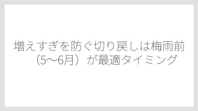 増えすぎを防ぐ切り戻しは梅雨前（5〜6月）が最適タイミング