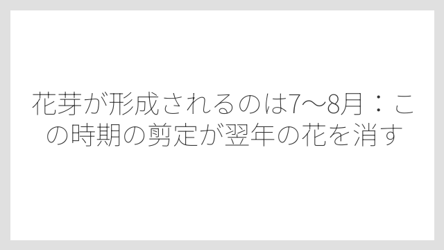 花芽が形成されるのは7〜8月：この時期の剪定が翌年の花を消す