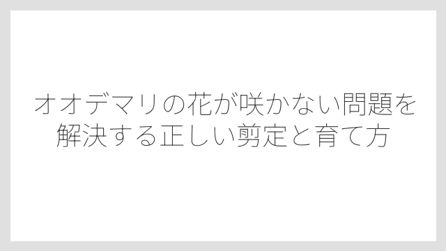 オオデマリの開花時期を知れば剪定タイミングが自然にわかる