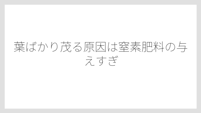 葉ばかり茂る原因は窒素肥料の与えすぎ