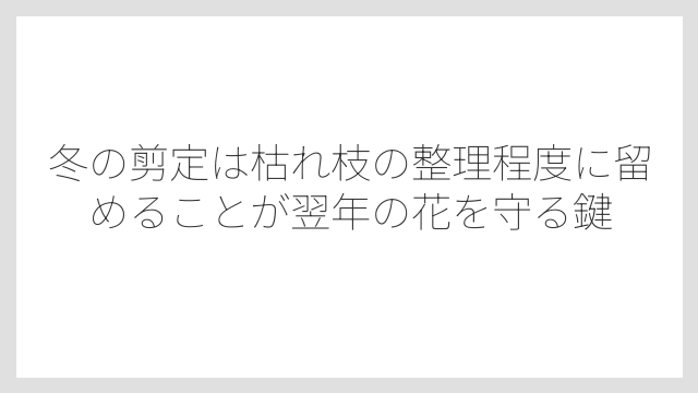 冬の剪定は枯れ枝の整理程度に留めることが翌年の花を守る鍵