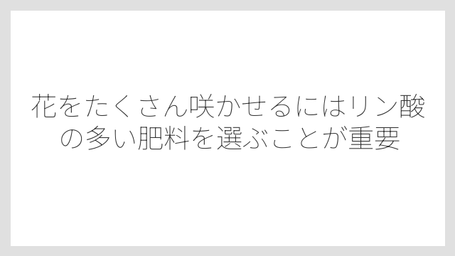 花をたくさん咲かせるにはリン酸の多い肥料を選ぶことが重要