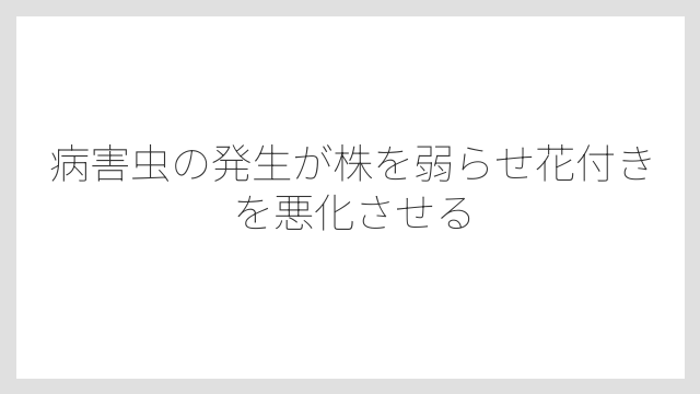 病害虫の発生が株を弱らせ花付きを悪化させる