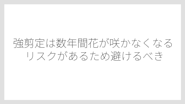 強剪定は数年間花が咲かなくなるリスクがあるため避けるべき