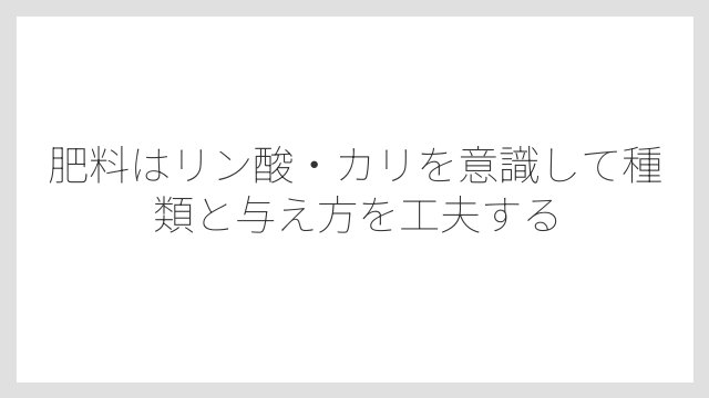 肥料はリン酸・カリを意識して種類と与え方を工夫する