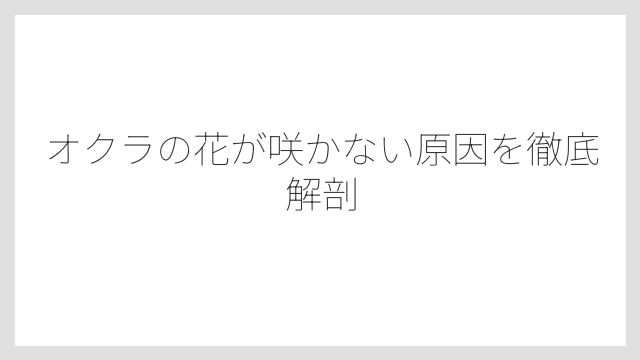 オクラの花が咲かない原因を徹底解剖