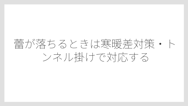 蕾が落ちるときは寒暖差対策・トンネル掛けで対応する