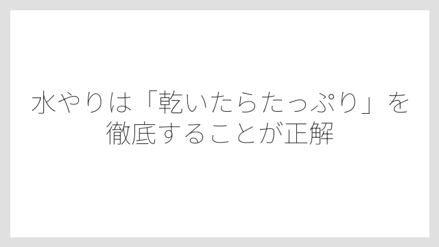 水やりは「乾いたらたっぷり」を徹底することが正解