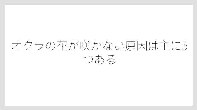 オクラの花が咲かない原因は主に5つある