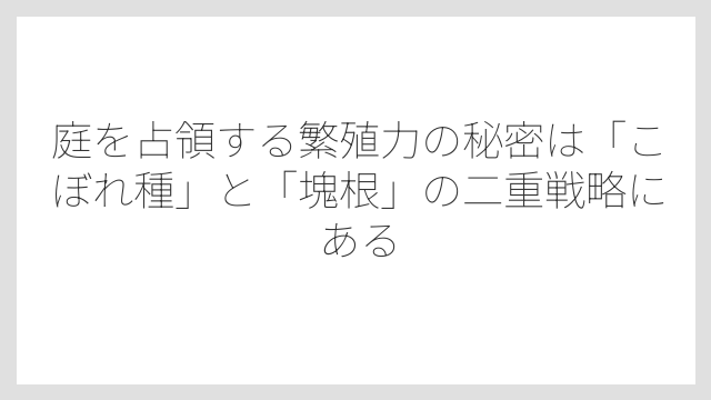 庭を占領する繁殖力の秘密は「こぼれ種」と「塊根」の二重戦略にある