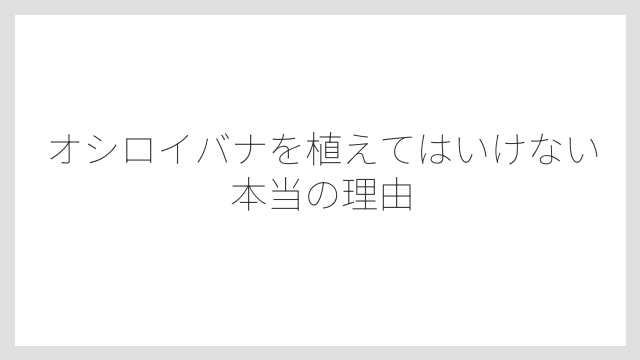 オシロイバナを植えてはいけない本当の理由