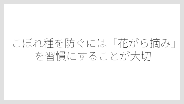 こぼれ種を防ぐには「花がら摘み」を習慣にすることが大切