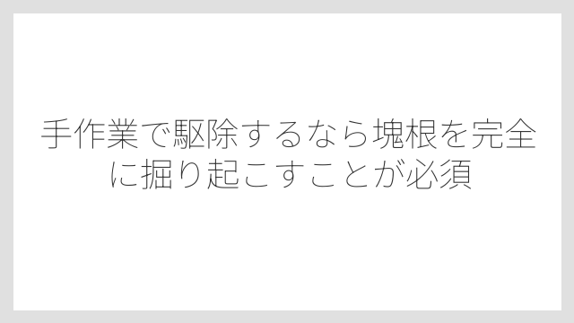 手作業で駆除するなら塊根を完全に掘り起こすことが必須