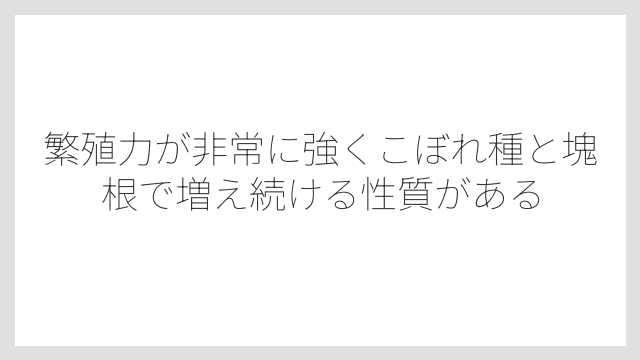 繁殖力が非常に強くこぼれ種と塊根で増え続ける性質がある