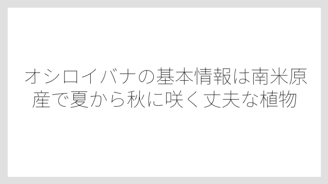 オシロイバナの基本情報は南米原産で夏から秋に咲く丈夫な植物