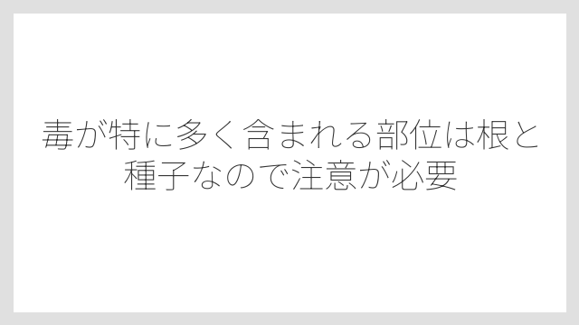 毒が特に多く含まれる部位は根と種子なので注意が必要
