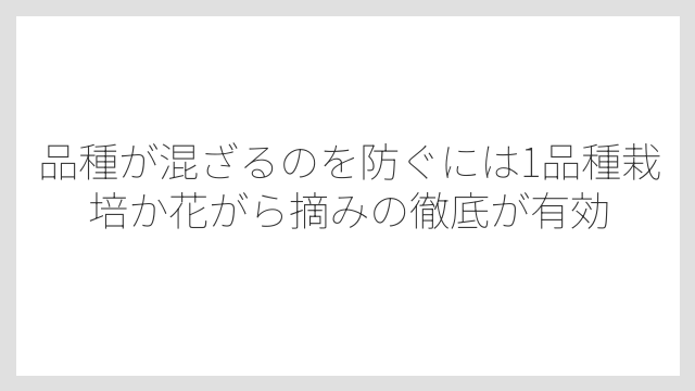 品種が混ざるのを防ぐには1品種栽培か花がら摘みの徹底が有効