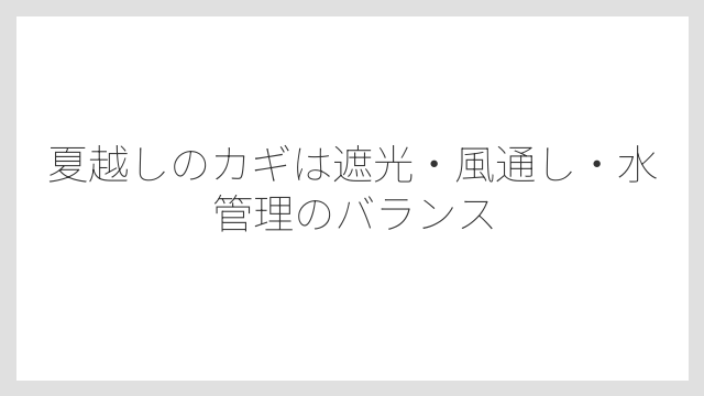 夏越しのカギは遮光・風通し・水管理のバランス