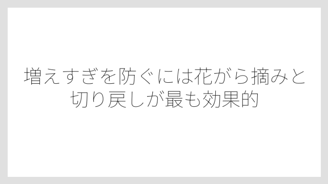 増えすぎを防ぐには花がら摘みと切り戻しが最も効果的