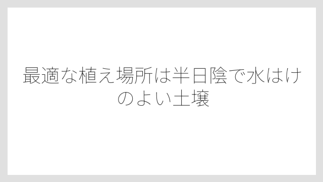 最適な植え場所は半日陰で水はけのよい土壌
