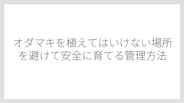 移植を嫌う直根性が植え替えを特に難しくする