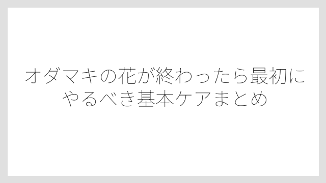 オダマキの花が終わったら最初にやるべき基本ケアまとめ