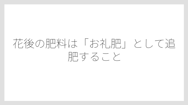 花後の肥料は「お礼肥」として追肥すること