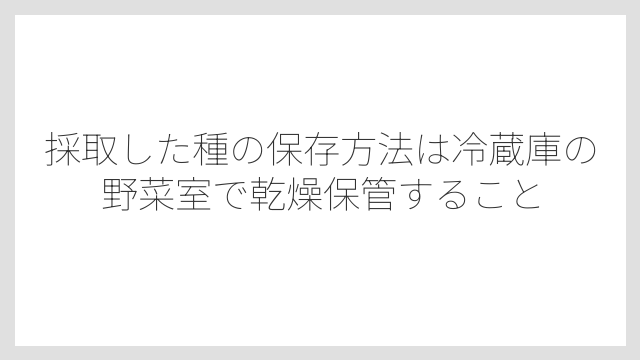 採取した種の保存方法は冷蔵庫の野菜室で乾燥保管すること