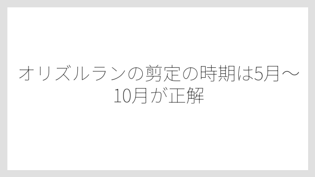 オリズルランの剪定の時期は5月〜10月が正解