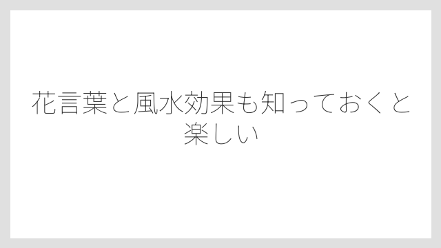 花言葉と風水効果も知っておくと楽しい
