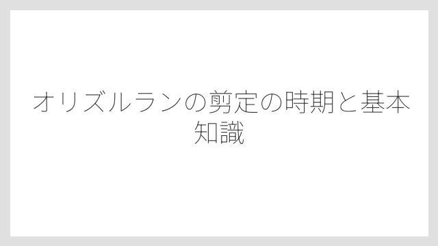 オリズルランの剪定の時期と基本知識