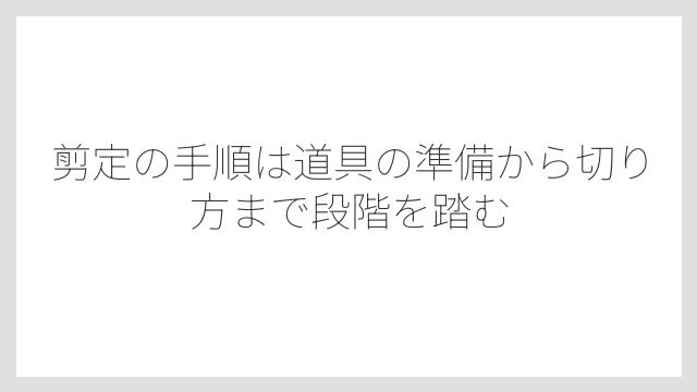 剪定の手順は道具の準備から切り方まで段階を踏む
