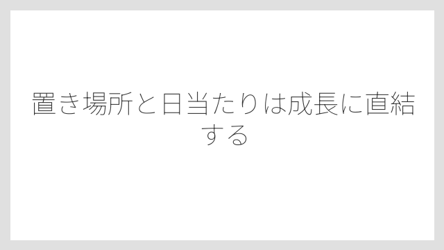 置き場所と日当たりは成長に直結する