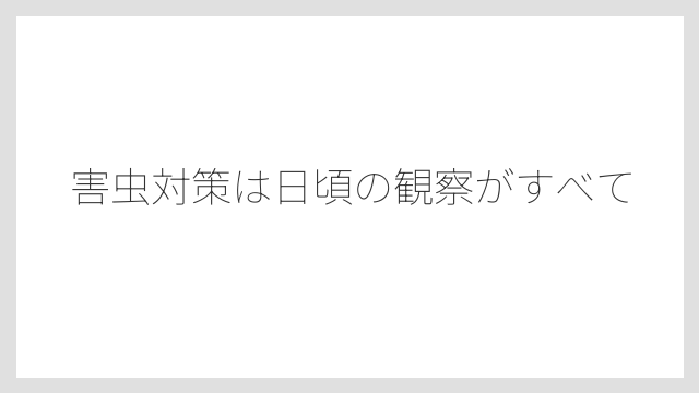 害虫対策は日頃の観察がすべて