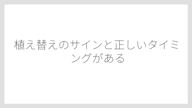 植え替えのサインと正しいタイミングがある