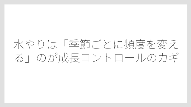 水やりは「季節ごとに頻度を変える」のが成長コントロールのカギ