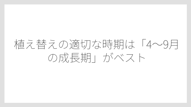 植え替えの適切な時期は「4〜9月の成長期」がベスト