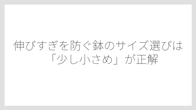 伸びすぎを防ぐ鉢のサイズ選びは「少し小さめ」が正解