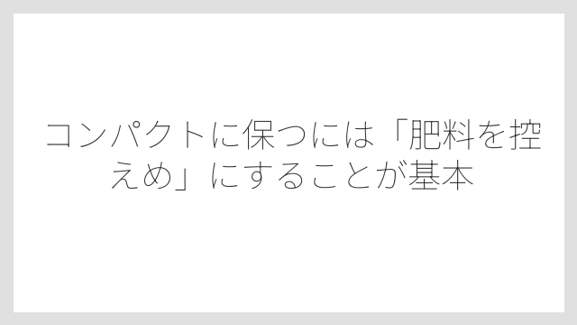 コンパクトに保つには「肥料を控えめ」にすることが基本